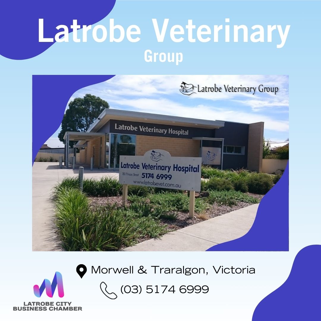 LCBC Member Profile: Latrobe Veterinary Group